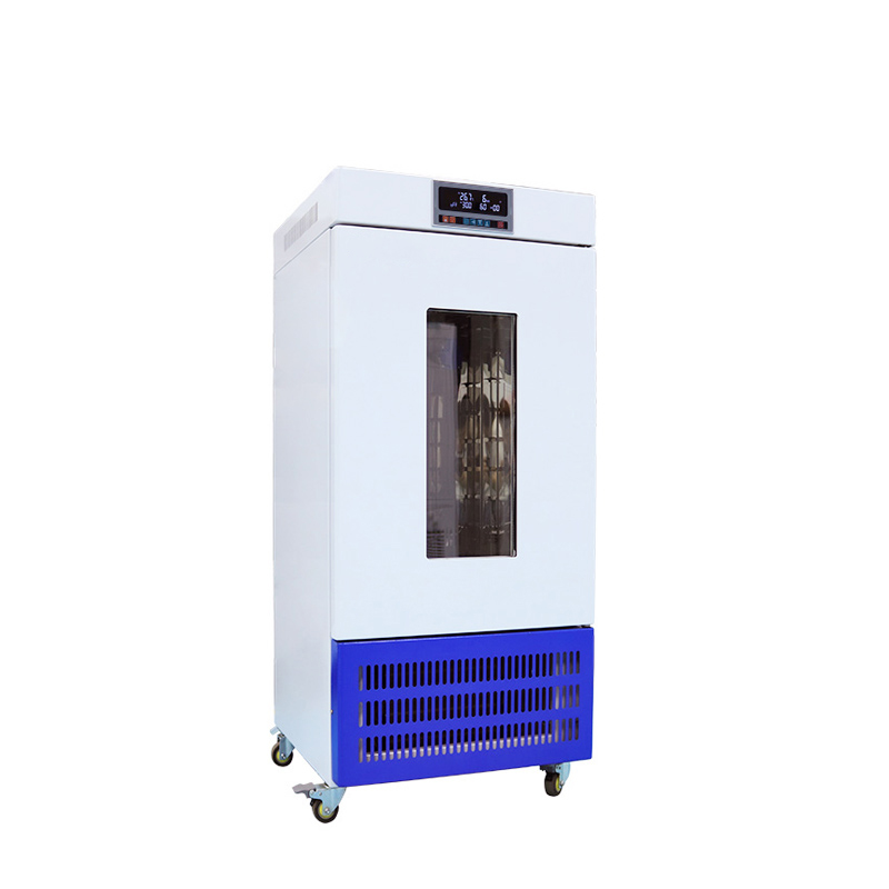 Mould Incubator BJPX-MN
