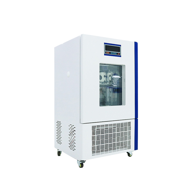 Mould Incubator BJPX-MB