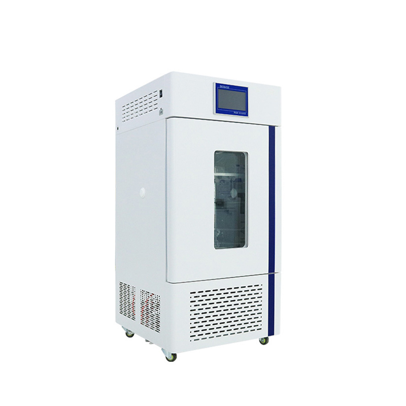 Mould Incubator BJPX-MP